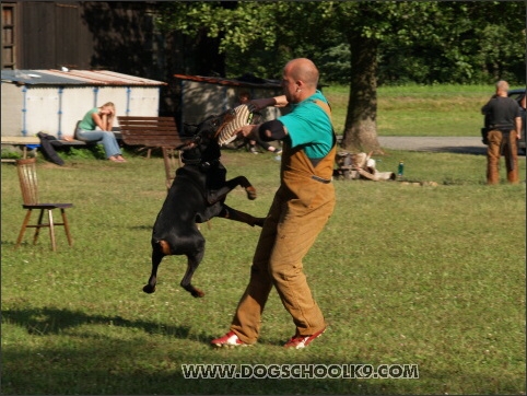 Training camp - Lukova 2007